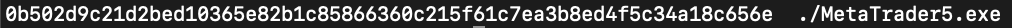 Figure 5. SHA256 of MetaTrader5.exe - 
0b502d9c21d2bed10365e82b1c85866360c215f61c7ea3b8ed4f5c34a18c656e